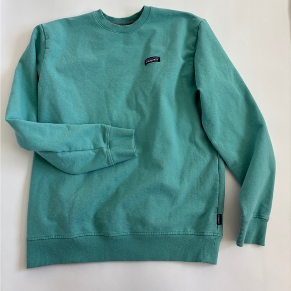 Patagonia Men’s sweatshirt Large Seafoam green - Picture 1 of 4